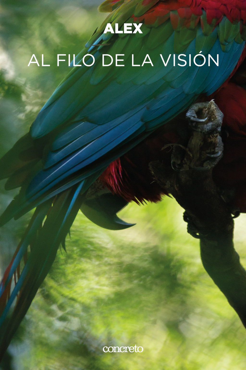 Portada del Al filo de la visión